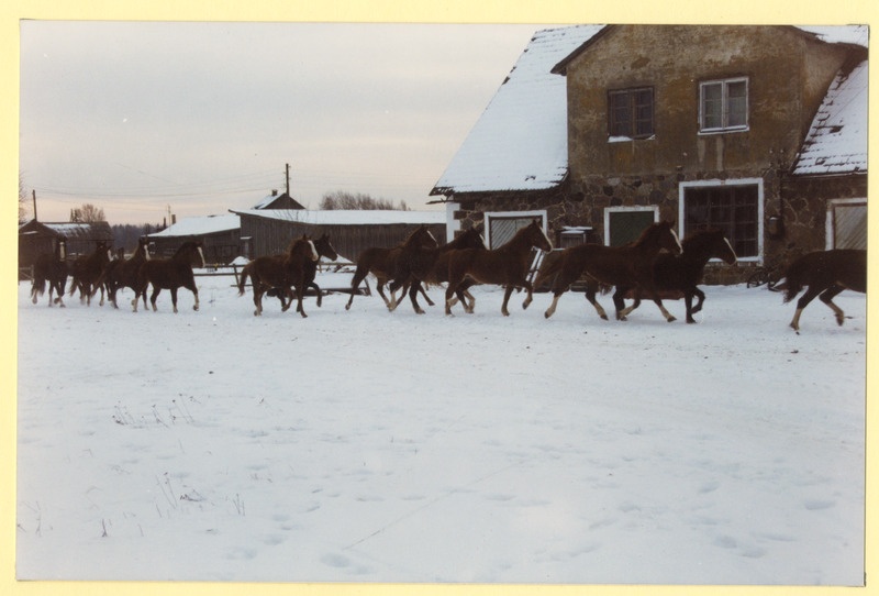 Foto. Jalaväekompanii Toris