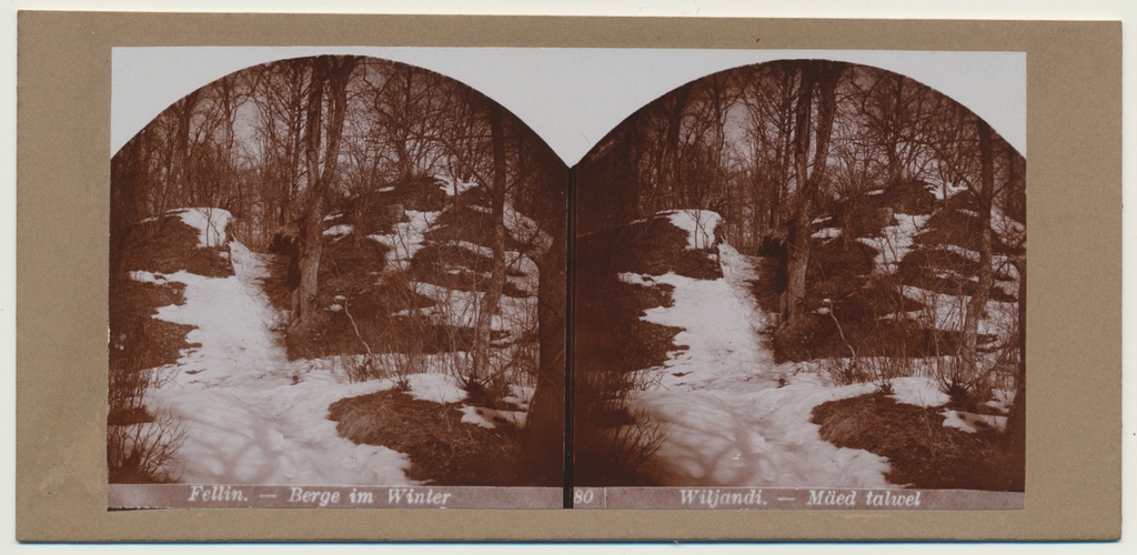 stereofoto, Viljandi, Lossimäed talvel, u 1905