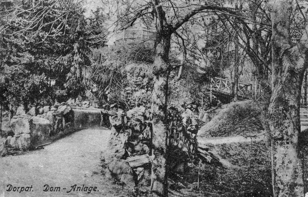 Toomemägi: esiplaanil Õhkamiste sillake, taga Musumägi. Tartu, ca 1918.