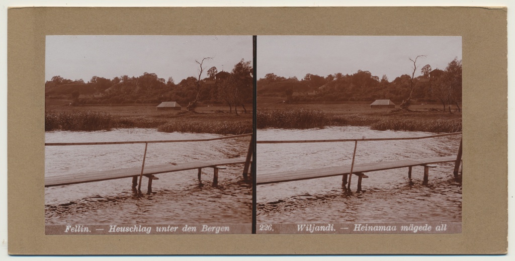 stereofoto, Viljandi, järv, heinamaa, lossimäed, u 1905