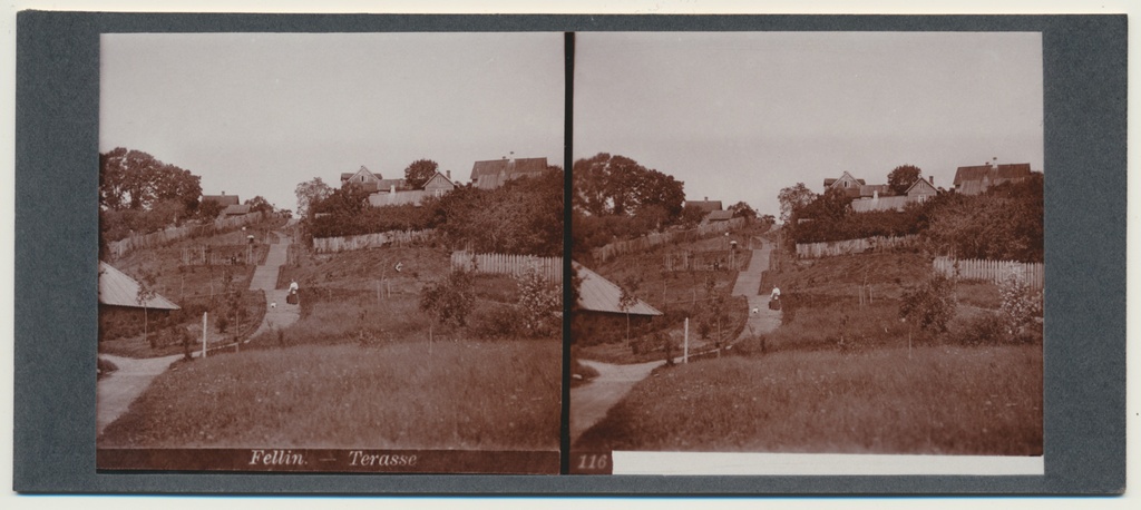 stereofoto, Viljandi, Trepimägi, vaade alt üle, u 1905 foto J. Riet