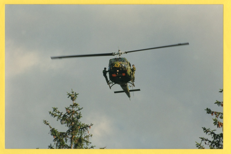 Foto. Arméns Lejon