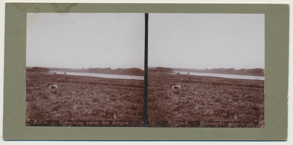 stereofoto, Viljandi, heinamaa, inimesed, järv, u 1905