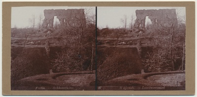 stereofoto, Viljandi, Kaevumägi, u 1905  duplicate photo