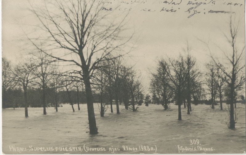 Foto. Postkaart. Pärnu puiestik uputuse ajal.