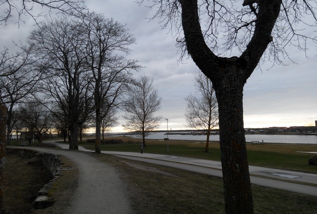 Kuressaare rand, vaade piki puiesteed, taamal kaks poissi rephoto