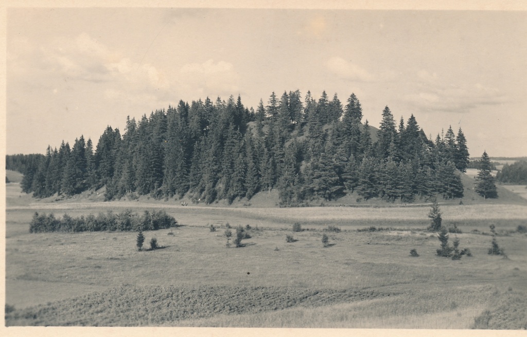 Otepää