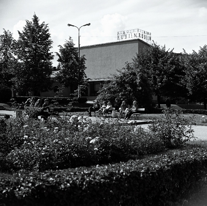Kino Rubiin.