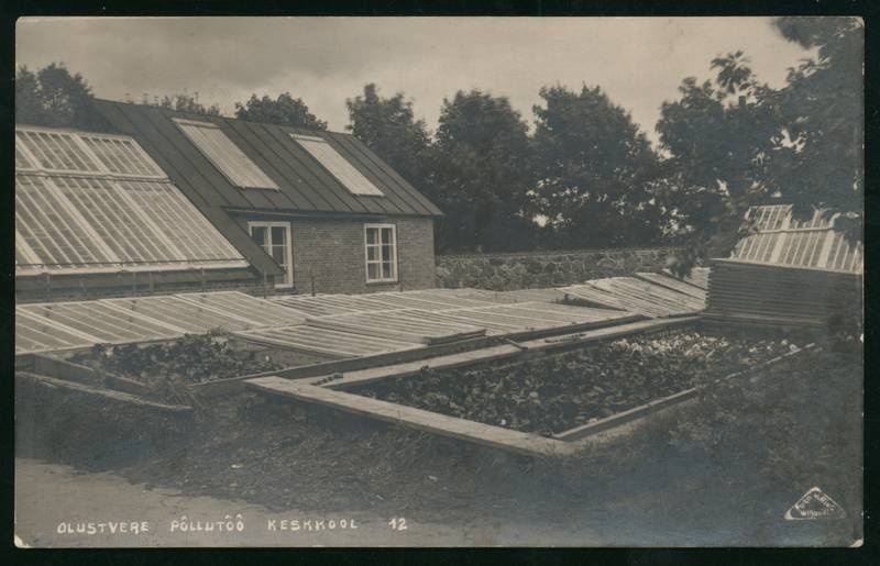 fotopostkaart, Suure-Jaani khk, Olustvere Põllutöökeskkooli triiphoone ja kasvulavad, u 1935, foto J. Riet