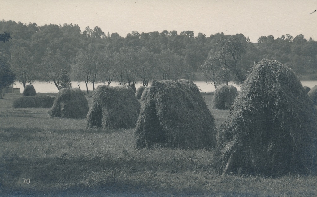 foto Viljandi järveäärne heinamaa, heinarõugud, järv u 1910 F J.Riet