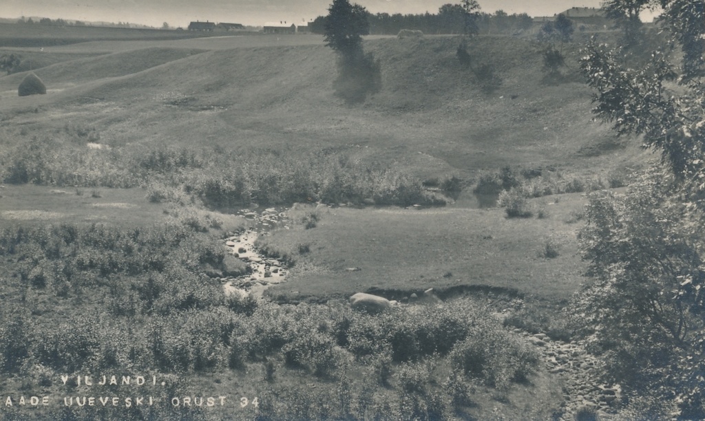 foto Viljandi, Uueveski org u 1910 F J.Riet