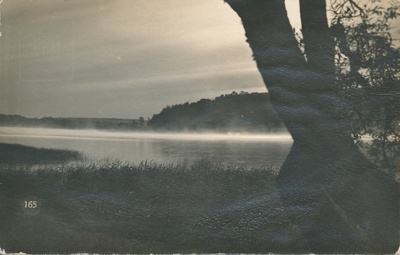 foto Viljandi järv, Valuoja oja suue u 1910 F J.Riet  duplicate photo