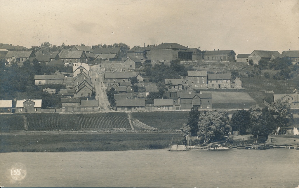 foto Viljandi, vaade järvelt Kõrgemäe tn ümbrusega u 1915 F J.Riet
