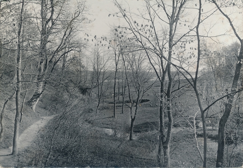 foto, Viljandi, Valuoja org, oja enne järve suubumist u 1910 F J.Riet