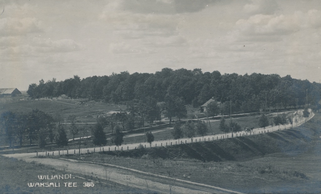 foto, Viljandi, Vaksali tn, Valuoja org, kalmistu u 1920 F J.Riet