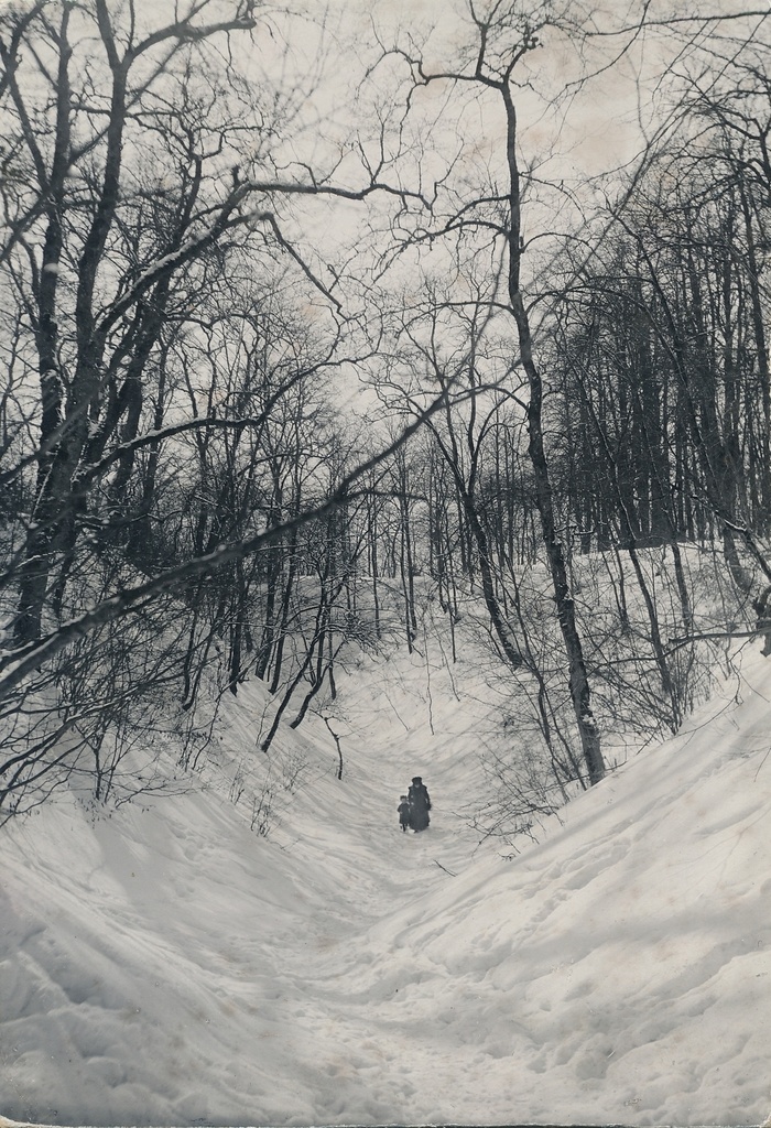 foto, Viljandi, lossimäed, Suurorg u 1910 F J.Riet