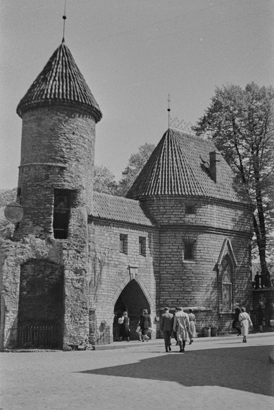 Viru väravad. Vaade Viru väravaile