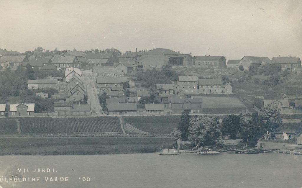 foto, Viljandi, Kõrgemäe t ümbrusega (järve poolt), u 1915, foto J. Riet
