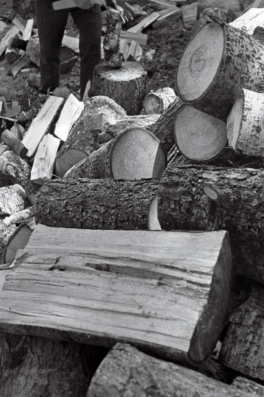 Eesti õpilasmaleva ( 1971? ) pilte Konovere, Audru, Sipa rühma elust - olust. Malevlased küttepuid lõhkumas ja tassimas