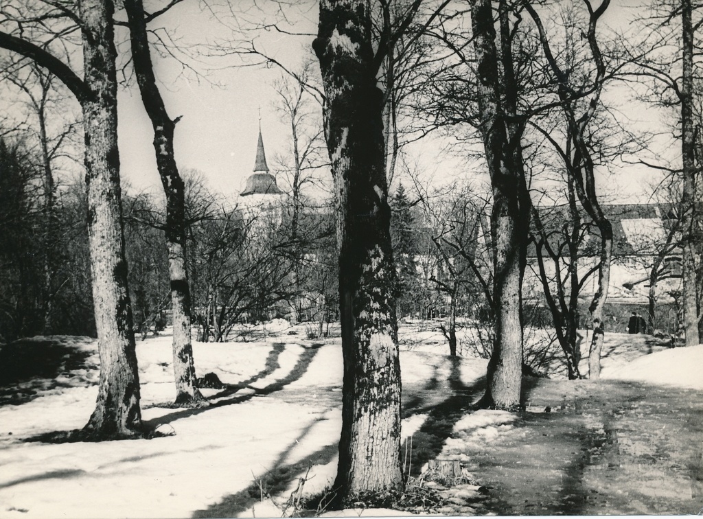 foto, Viljandi, lossimäed, I Kirsimägi (?), 1960, foto J. Norden