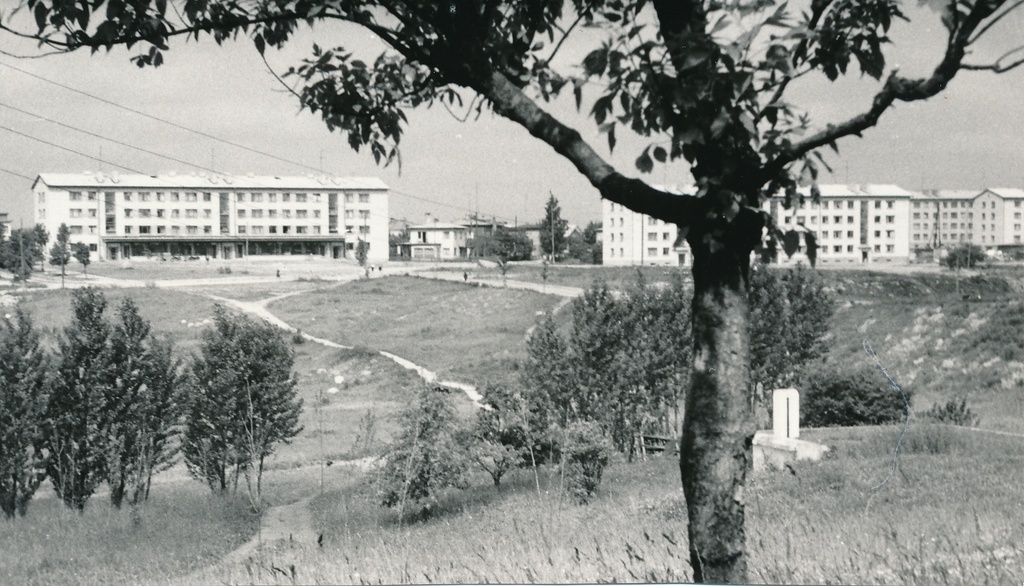 foto, Viljandi, Paalalinn, 1964, foto A. Kiisla