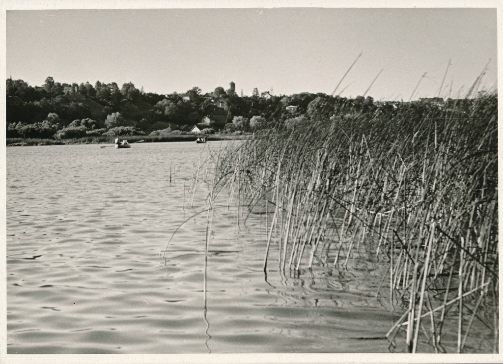 foto, Viljandi, järv, linn, lossimäed, u 1960, foto A. Kiisla