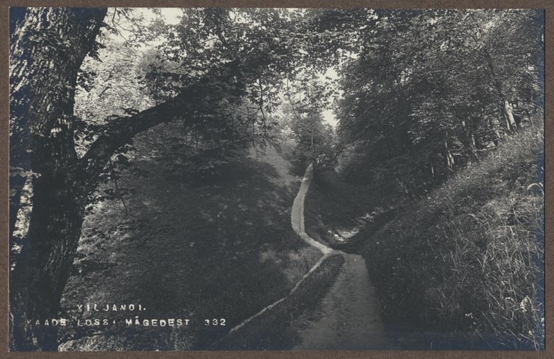 foto albumis, Viljandi, lossimäed, org, II Kirsimäe ja Kaevumäe vahel?, u 1920, foto J. Riet