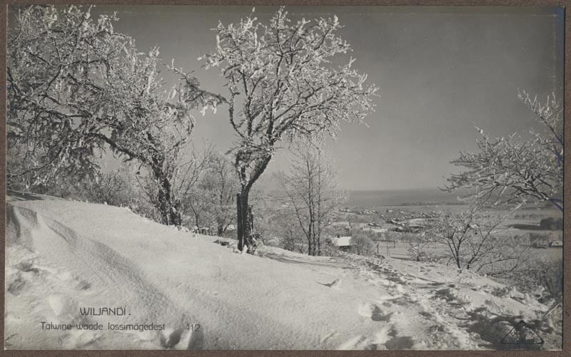 foto albumis, Viljandi, lossimäed, I Kirsimägi, eemal Kivistiku linnaosa, u 1935, foto J. Riet