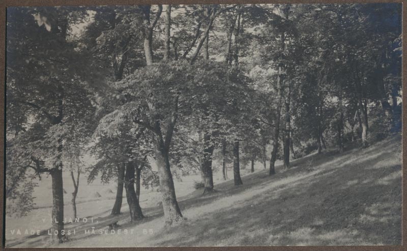 foto albumis, Viljandi, lossimäed, Kaevumäe nõlv?, u 1915, foto J. Riet