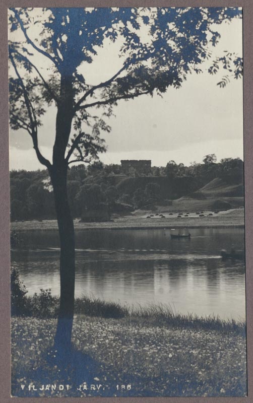 foto albumis, Viljandi, järv, heinamaa, lossimäed, u 1915, foto J. Riet