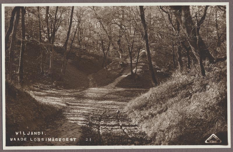 foto albumis, Viljandi, lossimäed- orgude ristumine, u 1920 foto J. Riet