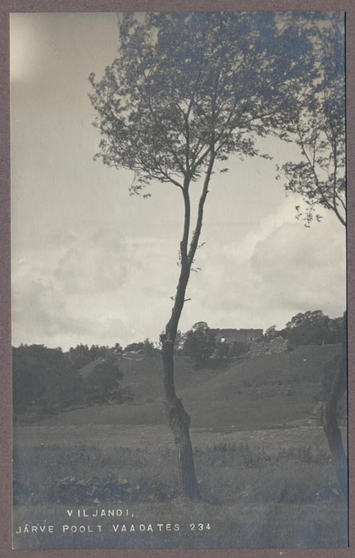 foto albumis, Viljandi, järveäärne heinamaa, lossimäed, u 1920, foto J. Riet
