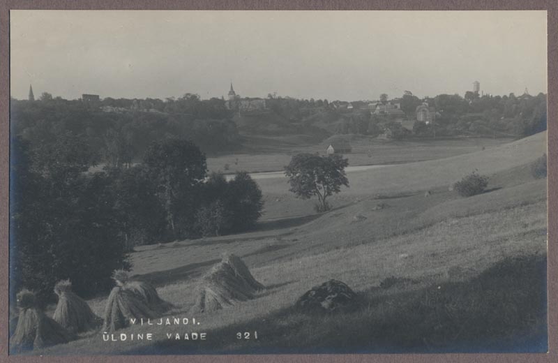 foto albumis, Viljandi, järv, lossimäed ja linn vastaskaldalt, u 1920, foto J. Riet
