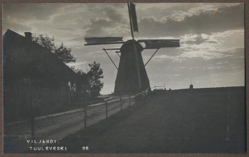 foto albumis, Viljandi, tuuleveski Turu tn, u 1915, foto J. Riet