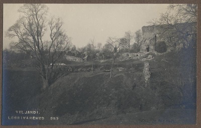 foto albumis, Viljandi, Kaevumägi järve poolt, u 1915, foto J. Riet  duplicate photo