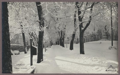 foto albumis, Viljandi, Tasuja pst, eemal Vabadussõja ausammas, talv, u 1935, foto J. Riet  duplicate photo
