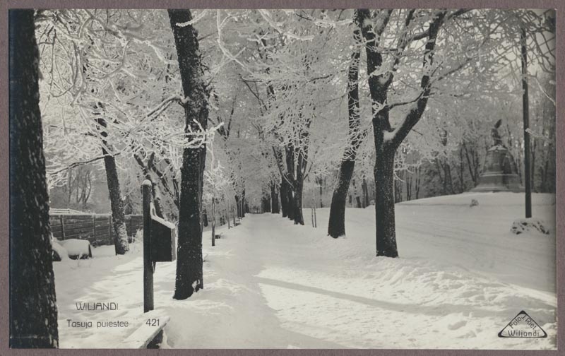 foto albumis, Viljandi, Tasuja pst, eemal Vabadussõja ausammas, talv, u 1935, foto J. Riet