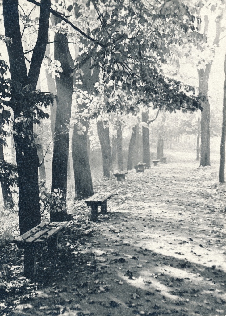 foto, Viljandi, Tasuja pst, u 1967, foto A. Kiisla