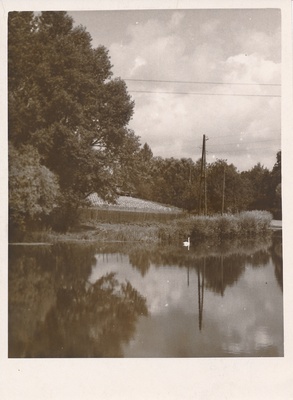 foto, Viljandi, Valuoja Suurtiik, u 1960  duplicate photo
