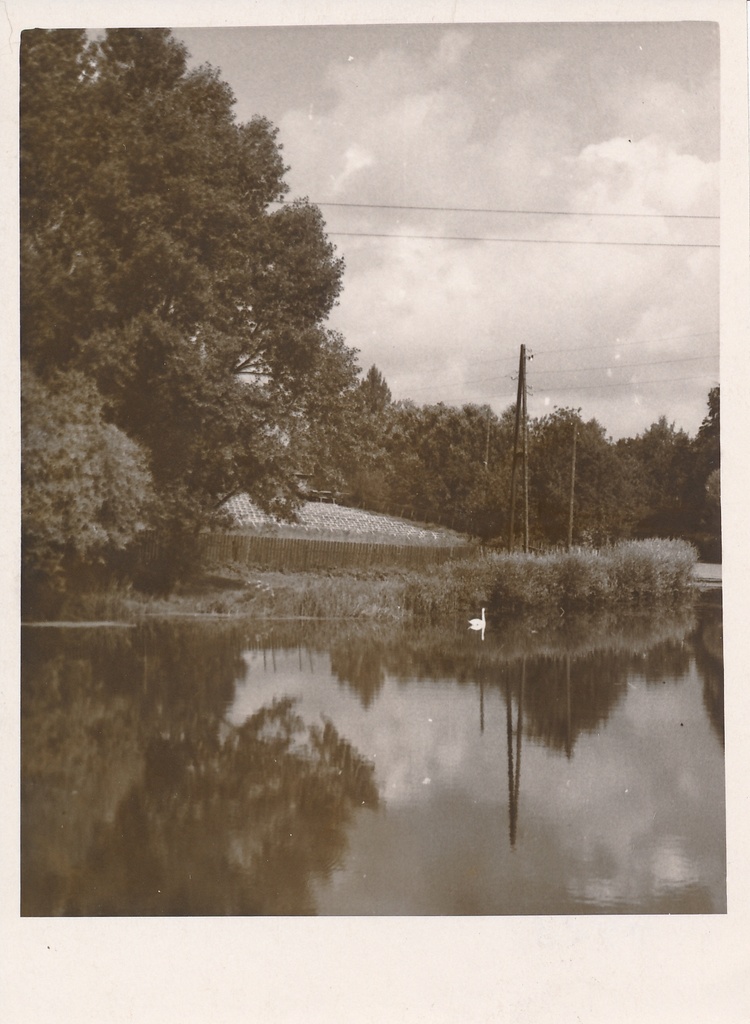 foto, Viljandi, Valuoja Suurtiik, u 1960