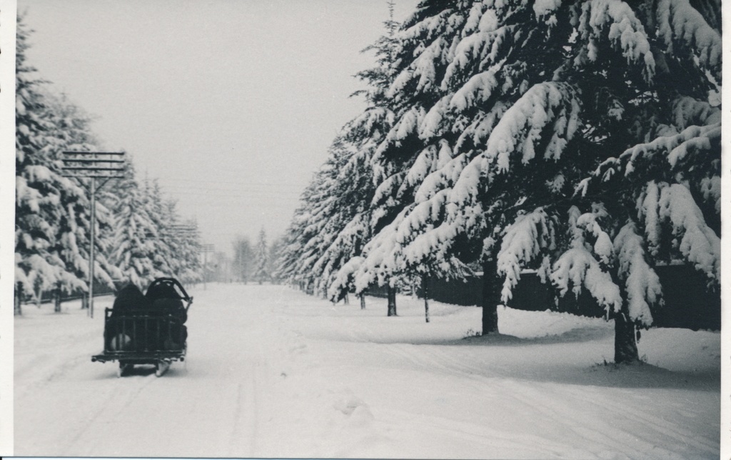 foto, Viljandi, J .Gagarini (Uus) tänav, hobusaan, 1957 F H.Riet