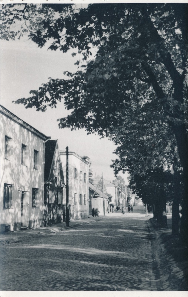 foto, Viljandi, Jakobsoni tn Lastepargi kõrval 1957 F H.Riet
