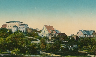 koloreeritud trükipostkaart, Viljandi, Trepimägi, elumajad (villad) u 1910, foto J. Riet  duplicate photo