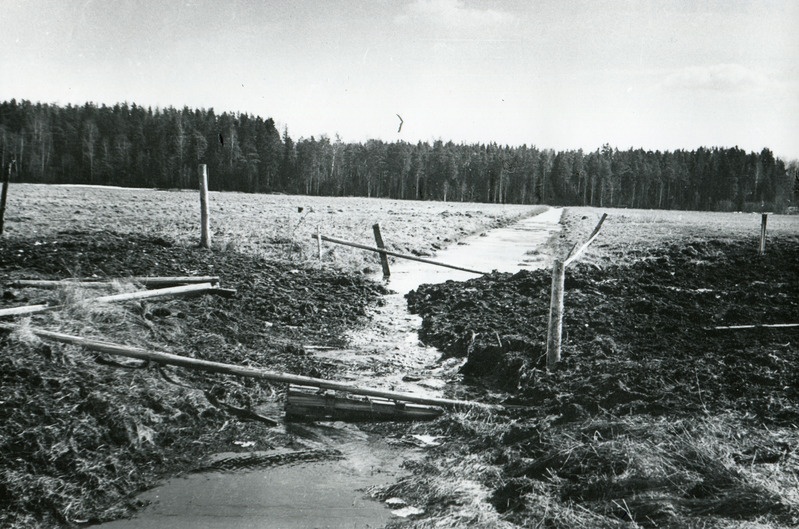 Paisutus kogujakraavis