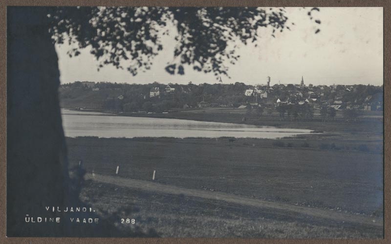 foto albumis, Viljandi, linn, järv Viiratsi teelt, u 1915, foto J. Riet