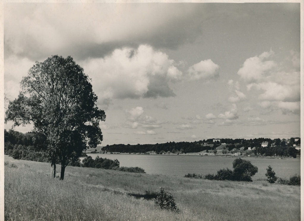 foto, Viljandi, järv, linn, 1958, foto A. Kiisla