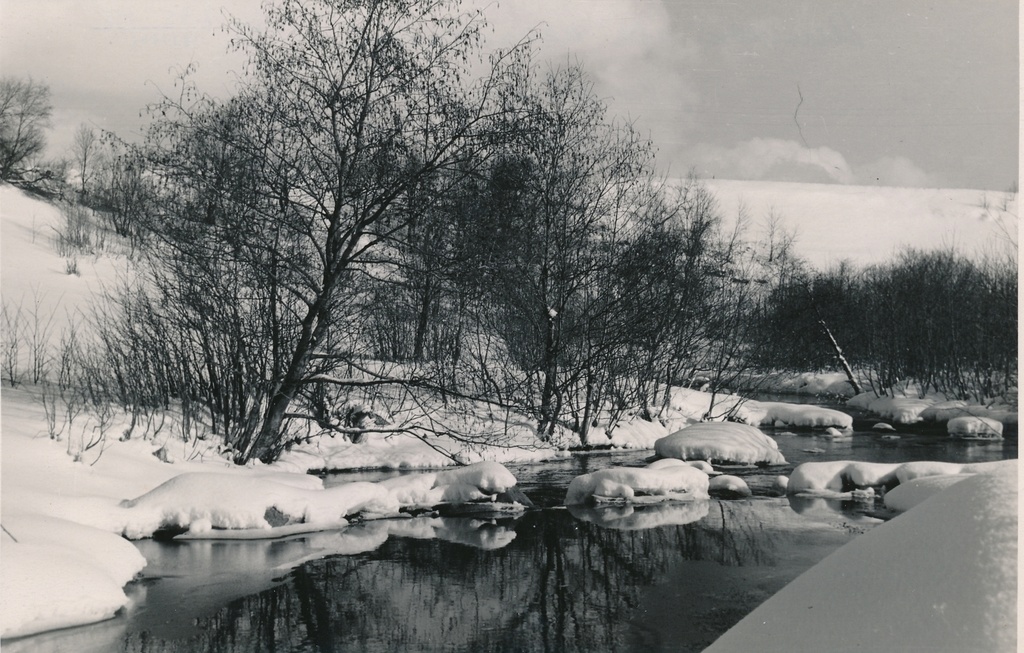 foto, Viljandi, Uueveski org, oja, talv, u 1960