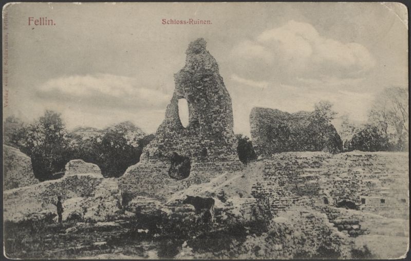 trükipostkaart, Viljandi, Kaevumägi, Mungamüür, põder, u 1905, verlag von G. Schürmann