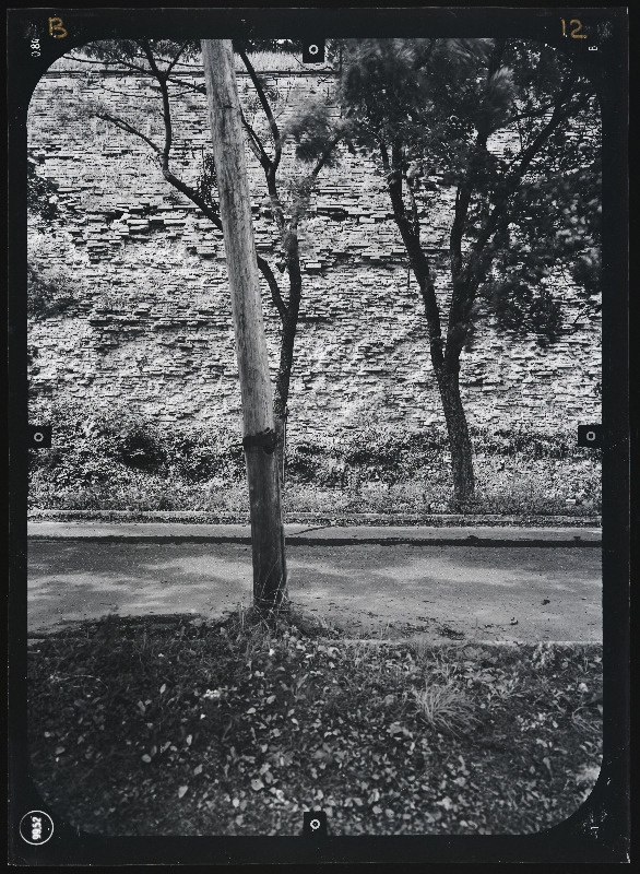 Narva linn. Bastionid. Narva linnakindlustused. Stereofotogramm-meetriline mõõdistamine.