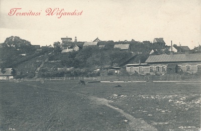 trükipostkaart, Viljandi, Trepimägi, Roosi tn majad, tapamaja, u 1905  duplicate photo